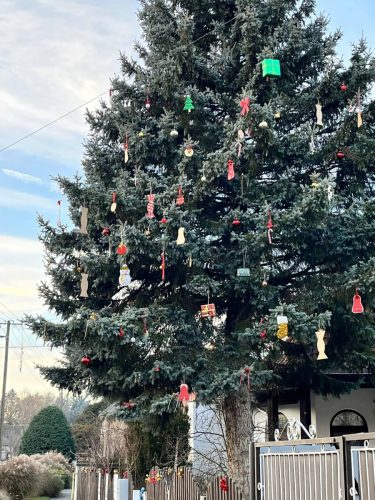 FB IMG 1764447776123